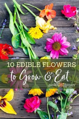 How to Grow Edible Flowers