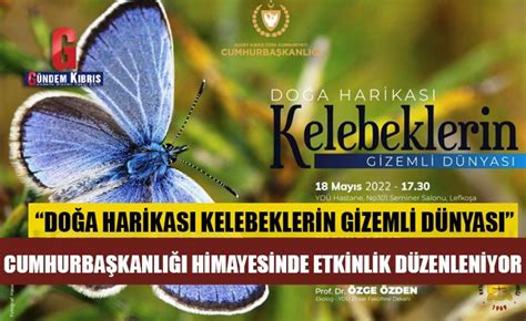  Mikada Kullanımında Görkemli Bir Mineral: Muskovitin Gizemli Dünyası!