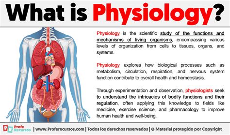 physiological 뜻: 생리학적 의미와 그 주변의 다양한 논의