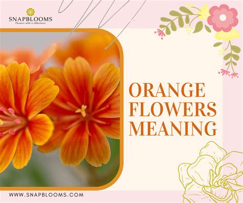 What Does Orange Flowers Mean?