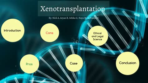  Xenotransplantasyon İçin Xenogelf: Yeni Nesil Biyo uyumluluk ve Hücresel Entegrasyon Sağlayan Bir Malzeme mi?